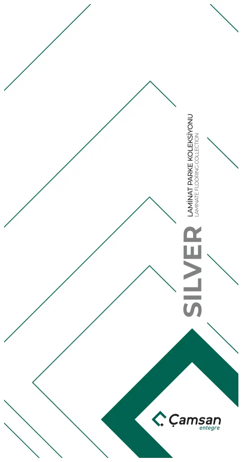 Çamsan Silver katalog kapağı